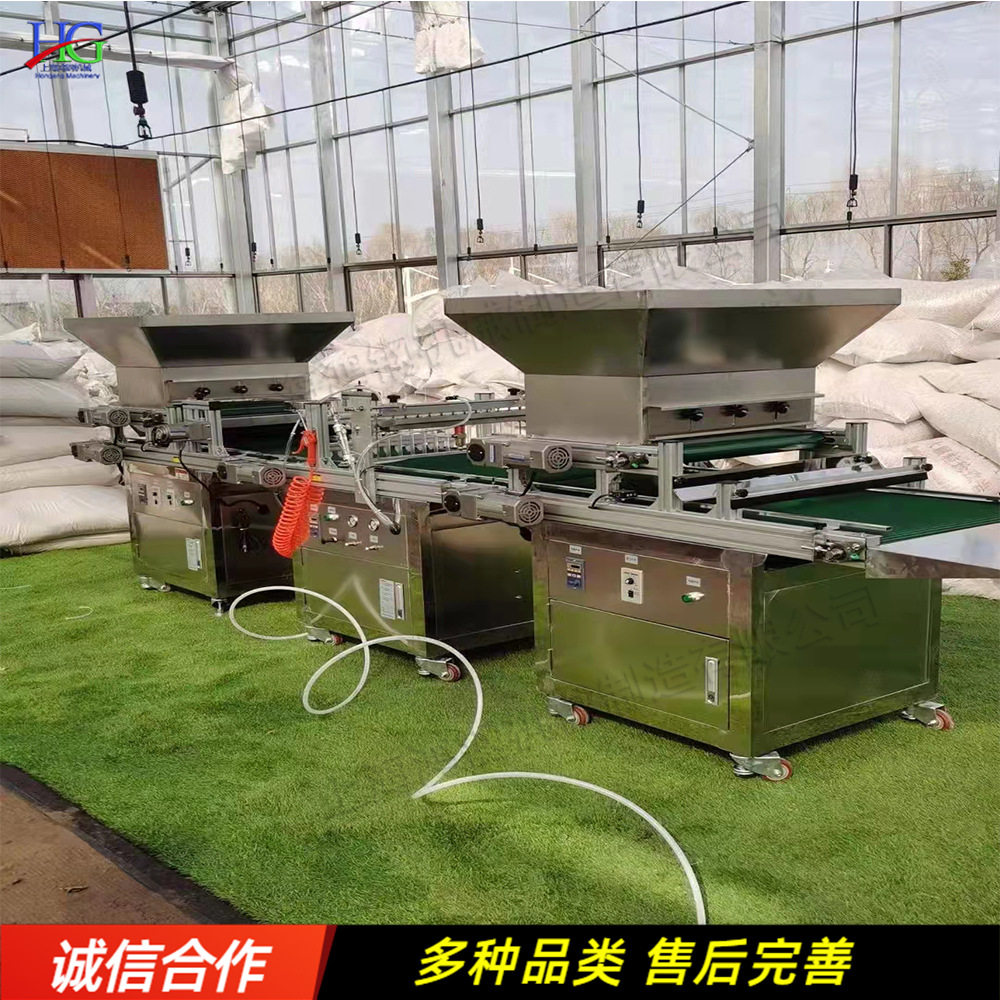 128孔不锈钢辣椒番茄穴盘播种机