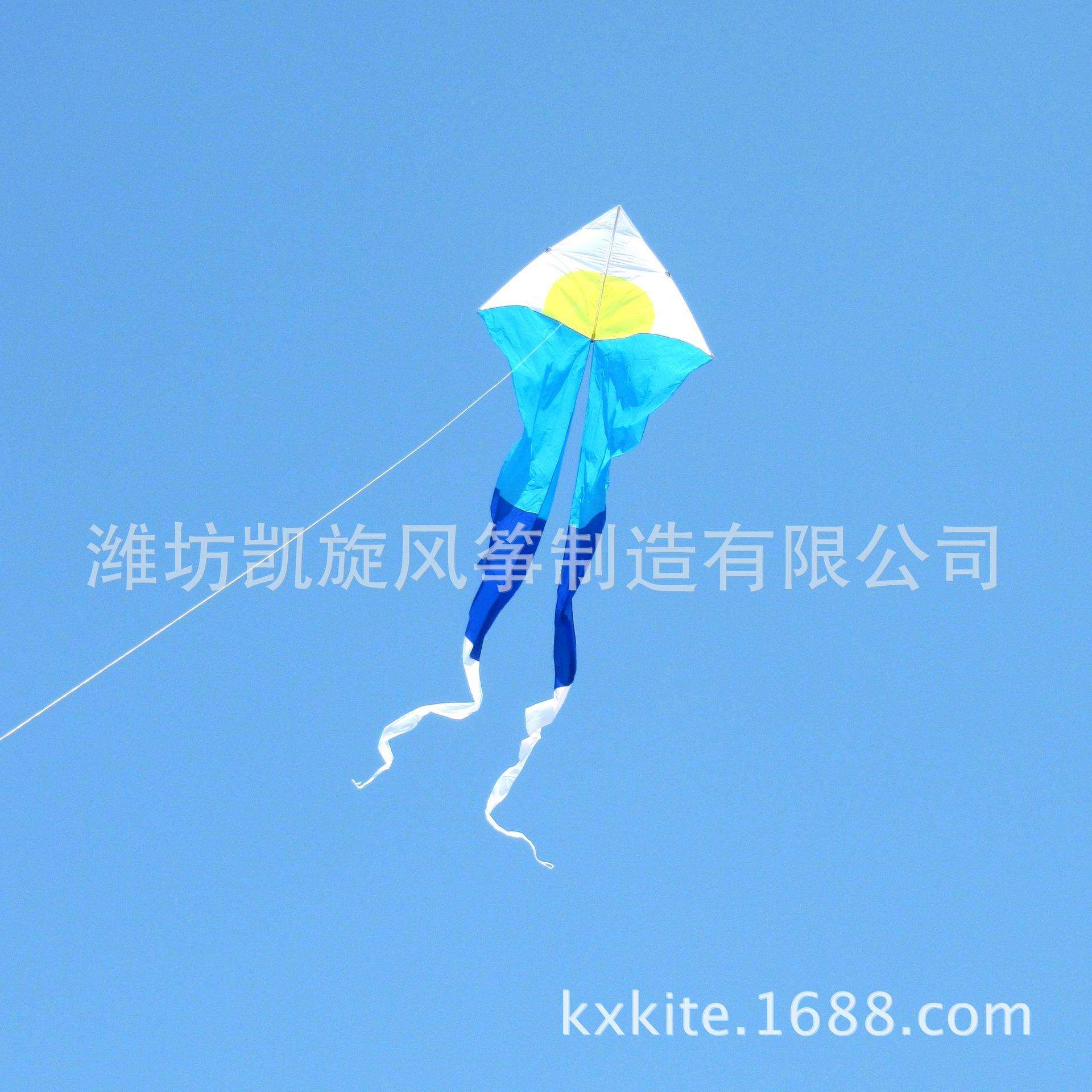 供应优质的长尾三角风筝创意