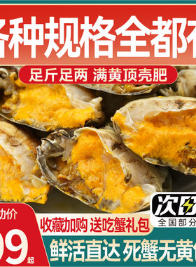 4两公+3两 4公4母 共8只大闸蟹海鲜母蟹活蟹礼盒鲜活微山湖彭祖蟹