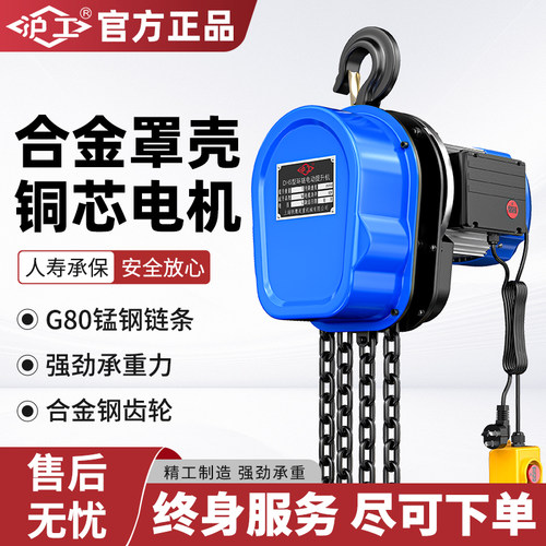 沪工220vDHS电动葫芦沪工