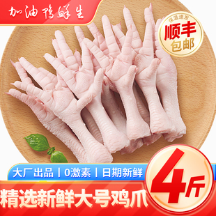 新鲜冷冻鸡爪生鲜长鸡爪子带骨凤爪批发商用食材【顺丰京东包邮】
