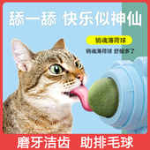 猫薄荷球猫玩具逗猫棒自嗨解闷磨牙洁齿舔乐耐玩耐咬可沾墙玩耍器