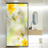 客厅阳台卧室浴室装 饰花卉磨砂贴膜透光不透明推拉门窗户玻璃贴纸