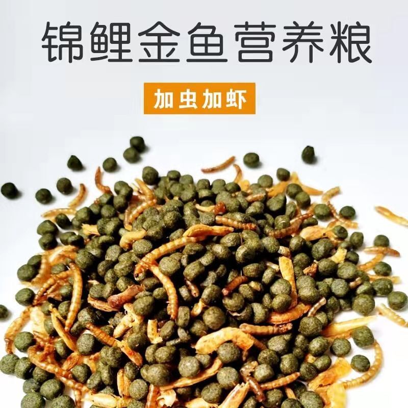 迎健锦鲤饲料鱼食5斤虫虾干螺旋藻增色增体蝴蝶鲤金鱼专用粮10斤