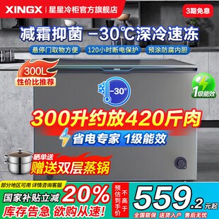 星星冰柜家用100/240/300升L小型减霜薄门商用冰箱柜冷藏冷冻冷柜