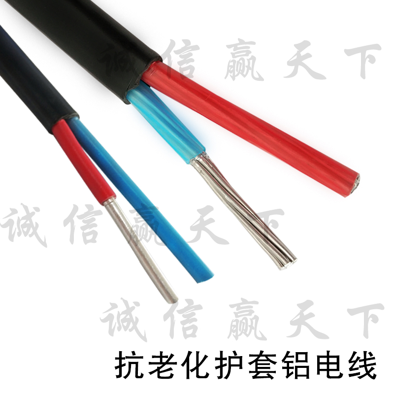 国标电线铝线双芯2x2.5/4/6平方二芯单股铝芯白色护套线 足100米