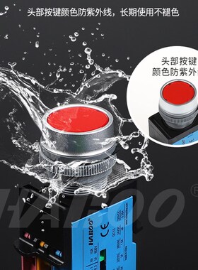 华博22MM带灯LED 24v复位220v自锁点动启动10A600V电源按钮开关