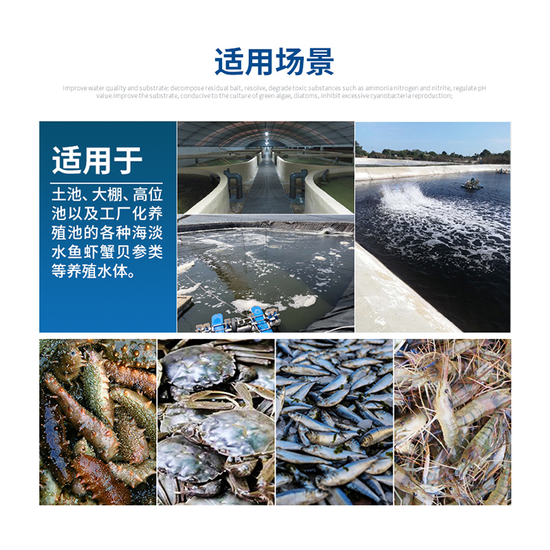 硅藻种水产养殖专用小球藻种绿藻藻种调水肥水培藻稳定型复合藻种