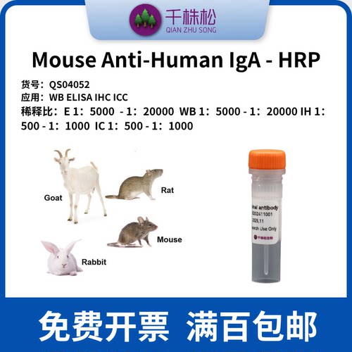 Mouse Anti-Human IgA - HRP 二抗 WB/ELISA/IHC 高浓度 1mg/ml