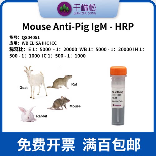 Mouse Anti-Pig IgM - HRP 二抗 WB/ELISA/IHC 高浓度 1mg/ml