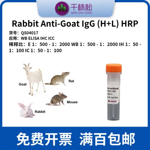 Rabbit Anti-Goat IgG (H+L) HRP 二抗，WB/ELISA/IHC实验 低浓度