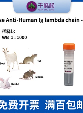 Mouse Anti-Human Ig lambda chain - HRP，二抗，WB/ELISA/IHC