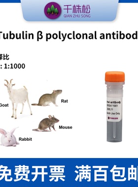 Tubulin β polyclonal antibody，WB/IP/IF/兔多抗