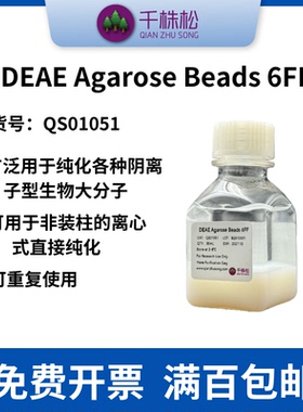 DEAE Agarose Beads 6FF