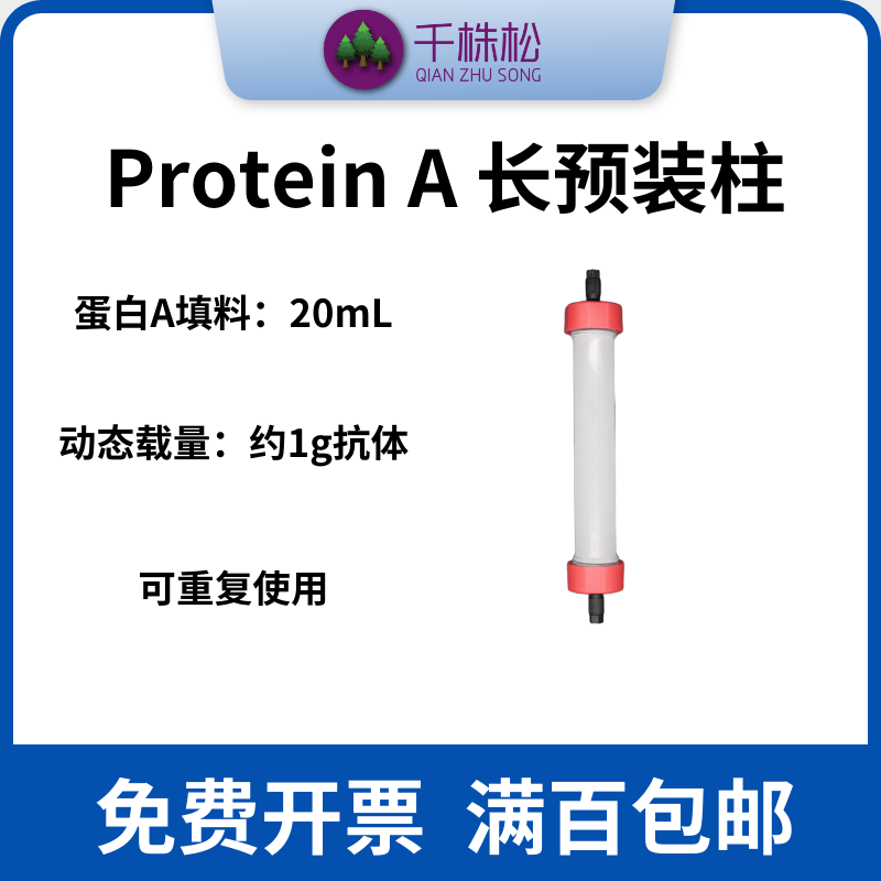 抗体纯化Protein A柱预装柱FPLC中压层析柱高载量g级制备柱