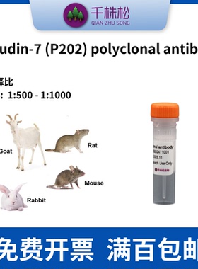 一抗，Claudin-7 (P202) polyclonal antibody   WB IHC IF IP