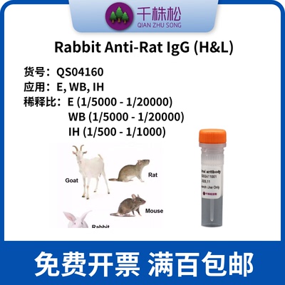 Rabbit Anti-Rat IgG (H&L)-E, WB, IH