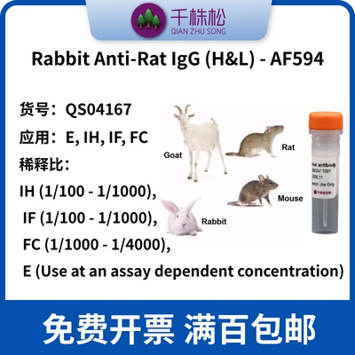 Rabbit Anti-Rat IgG (H&L) - AF594-E, IH, IF, FC