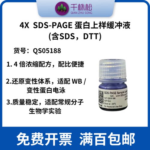 3X 蛋白上样缓冲液变性还原型Loading Buffer（DTT和SDS）
