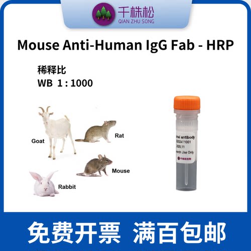 Mouse Anti-Human IgG Fab - HRP，二抗，WB/ELISA/IHC 低浓度