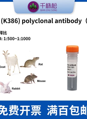 p53 (K386) polyclonal antibody（KU）