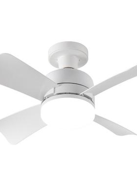 可拆卸无品牌/E27顶风扇餐厅卧室拔式插带灯灯小吊扇LE吸D风扇灯