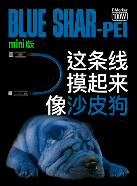 newcloth火星日落/迷你蓝色沙皮狗/ eMarker芯片智能数显PD快充充电宝Type-C充电线短线USBC-C