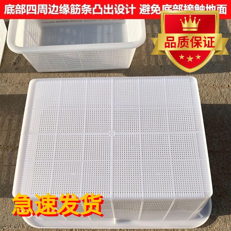 特大洗菜篮加密塑料子厚长