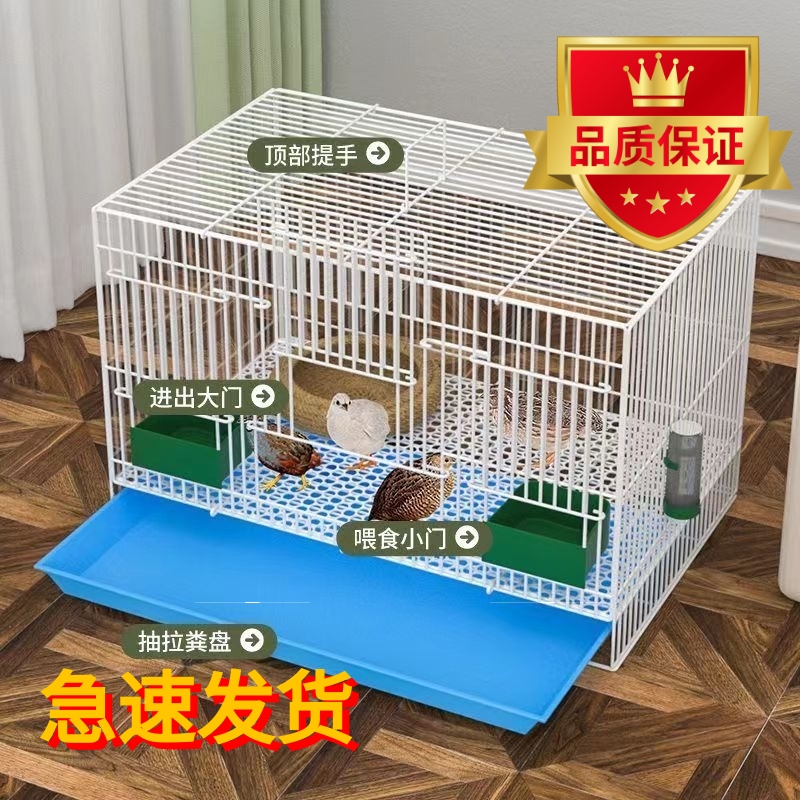 养芦丁鸡笼子饲专用家室内