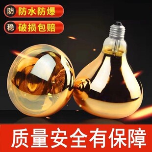 2025浴霸灯泡取暖灯瓦防爆老式卫生间浴室led中间照明壁挂式灯暖