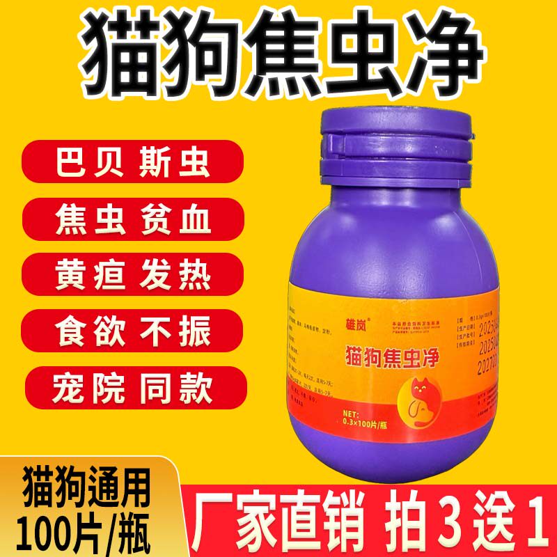 猫狗焦虫贫血巴贝斯虫焦虫黄疸宠物焦虫病呕吐牙发白蜱虫叮咬正宗