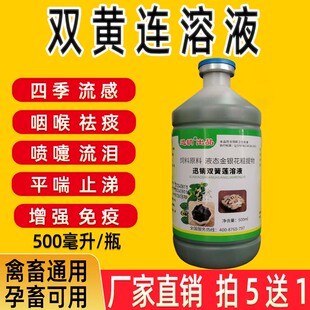 双黄连口服液兽用双黄莲鸡鸭鸽子猪牛羊外感风寒咔咔呼吸道抗病毒