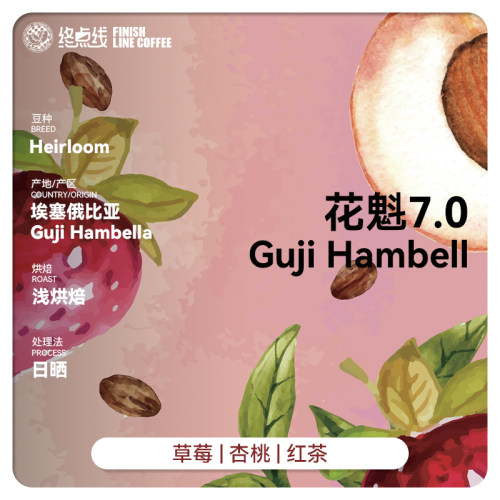 终点线埃塞俄比亚阿拉比卡香醇