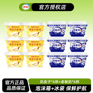 老酸奶138g 风味酸乳低温酸奶原味 6杯 伊利宫酪奶皮子酸奶138g