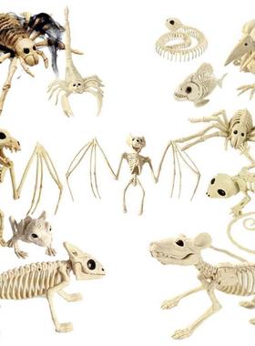 Halloween Decoration Animal Skeleton Hallowmas House Party O