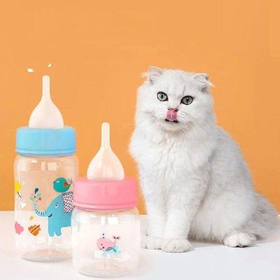 Puppy Kitten Feeding Bottle Feeder Set Cat Dog Bady Nursing