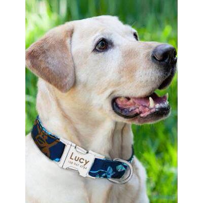 Dog Collar Pet Tag Puppy Cat Nameplate ID Collars Adjustable