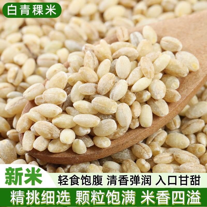 2024白青稞米新米500g 营养糙米健康主食五谷杂粮粥米早餐粗粮饭
