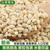2024白青稞米新米500g 营养糙米健康主食五谷杂粮粥米早餐粗粮饭