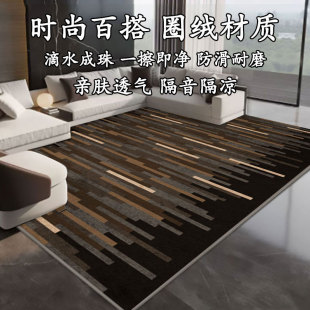 轻奢家用客厅耐脏地毯房间卧室圈绒防滑床边毯茶几柔软防水地垫
