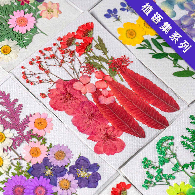 跨境押花书签真树叶植物标本滴胶手机壳手工树叶画干花压花材料包,鲜花速递/花卉仿真/绿植园艺,干花,淘宝优惠券,粉丝福利购,淘宝优惠卷