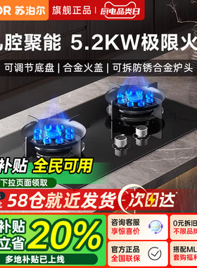 苏泊尔YB13燃气灶家用九腔爆炒双灶煤气灶天然气液化气灶台MB901