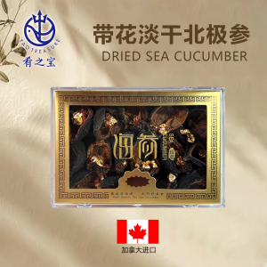 加拿大进口深海北极参淡干筒参250g/盒25-30头野生深海参需泡发