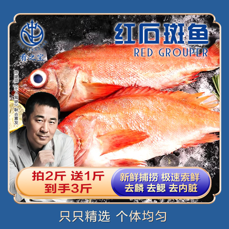 海鲜水产冷冻龙胆鱼肴之宝