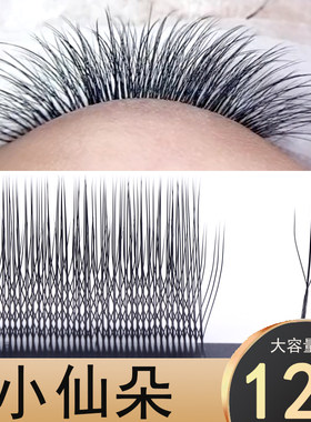 长短穿插嫁接睫毛小仙朵