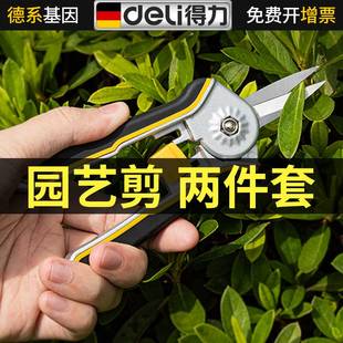 得力园林家用省力修花剪刀修枝剪2件套 树枝花卉专用手动大剪刀子