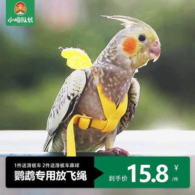 玄凤虎皮牡丹鸽子大头鹦鹉牵引绳放飞遛鸟专用飞行外出背带背心