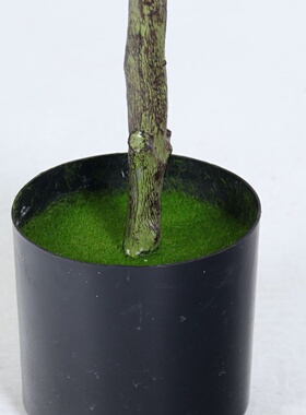 北欧风仿真绿植胡杨树假树盆栽室内家居落地装饰摆件仿生植物造景