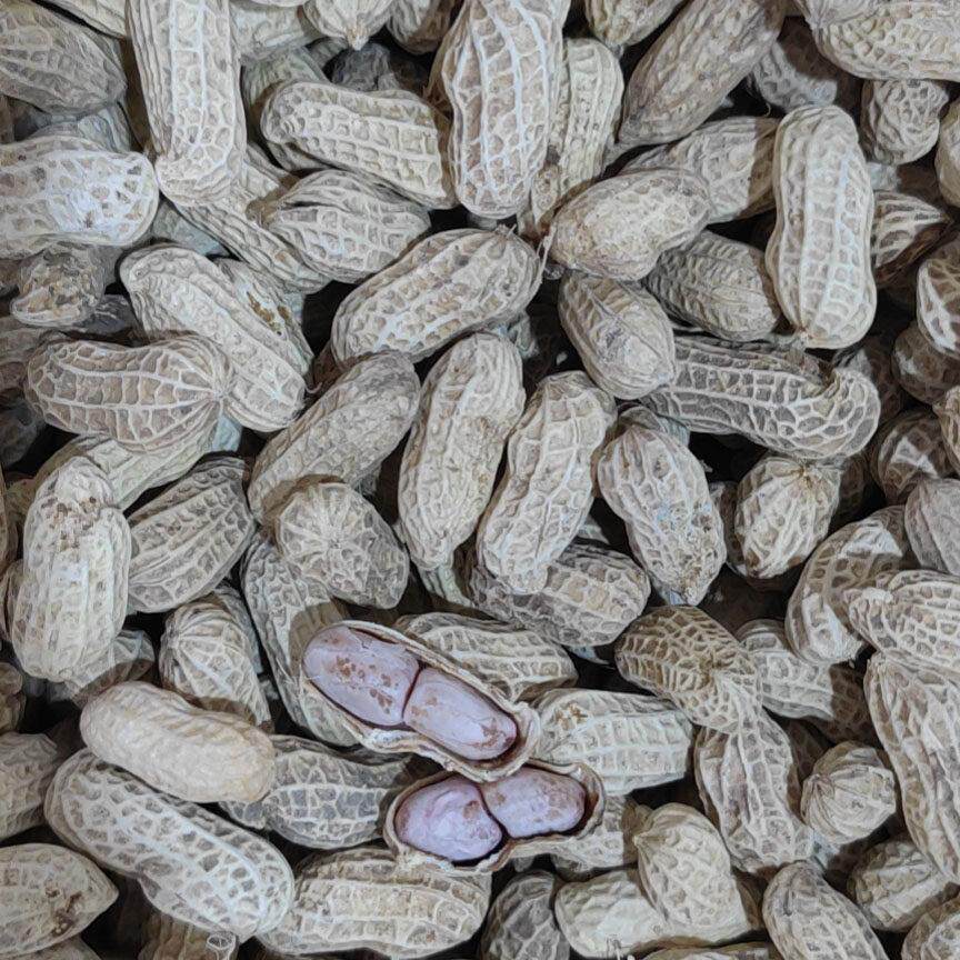 客家特产大埔衣花生 咸干酥生 龙岩多米紫衣SAZ花生酥紫糖咸花花