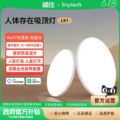 领普人在智e能灯传感器护眼现代简约极简主卧书房吸顶灯LED灯996